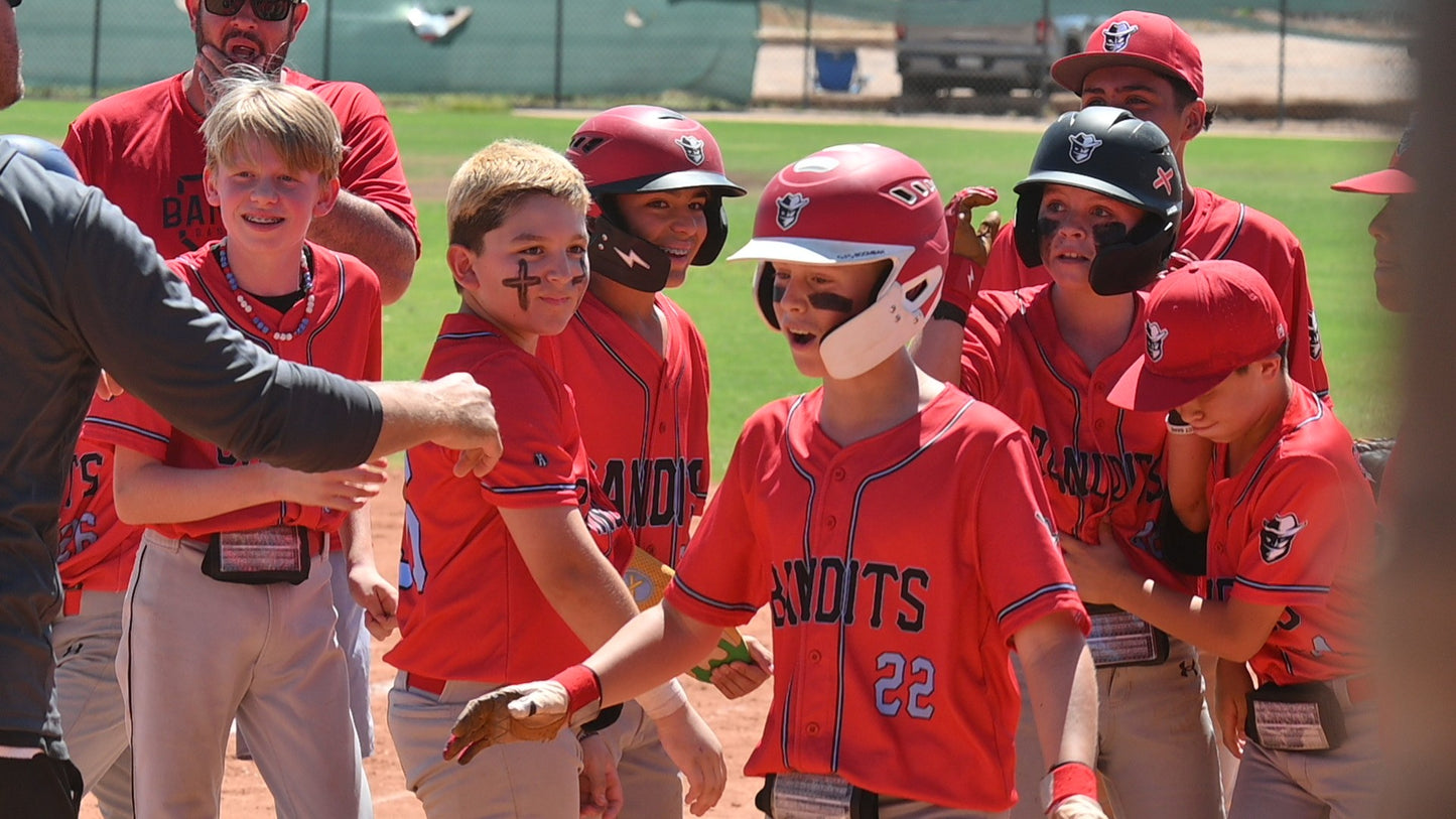 BANDITS Batting Helmet Sticker